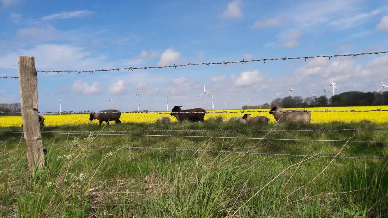 Ferienwohnung Wattkieker Büsum Buitenkant foto